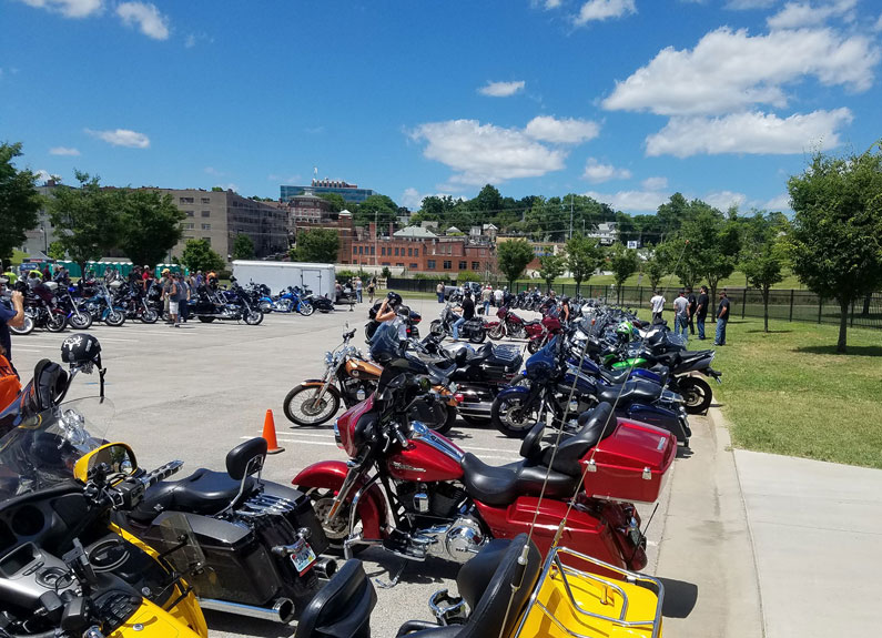 motorcycles at the bikes & bbq festival