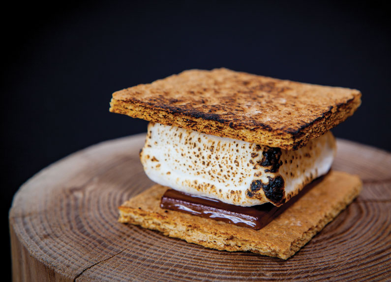 s'mores at bike stop cafe in st charles