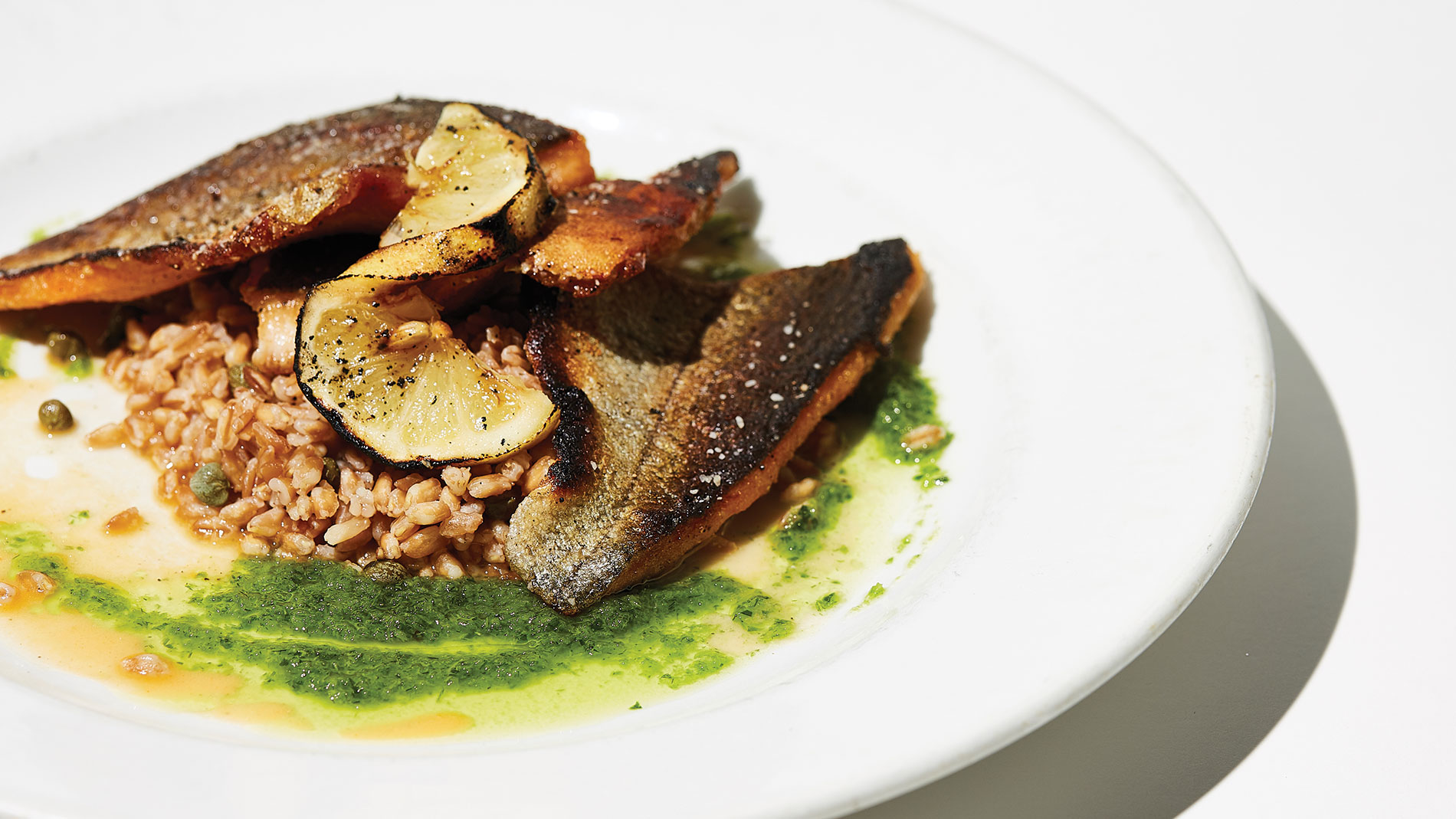 seared trout filets on farro 