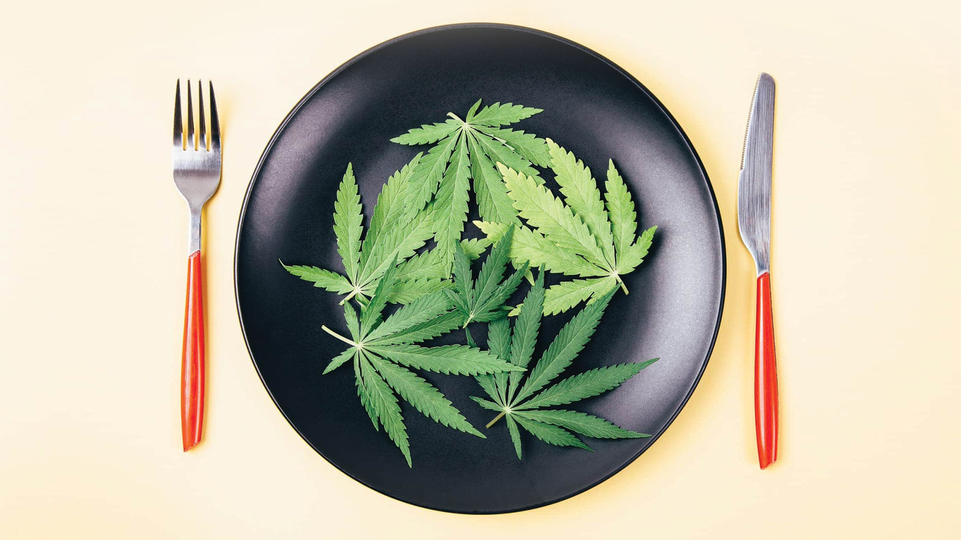 cooking with cannabis