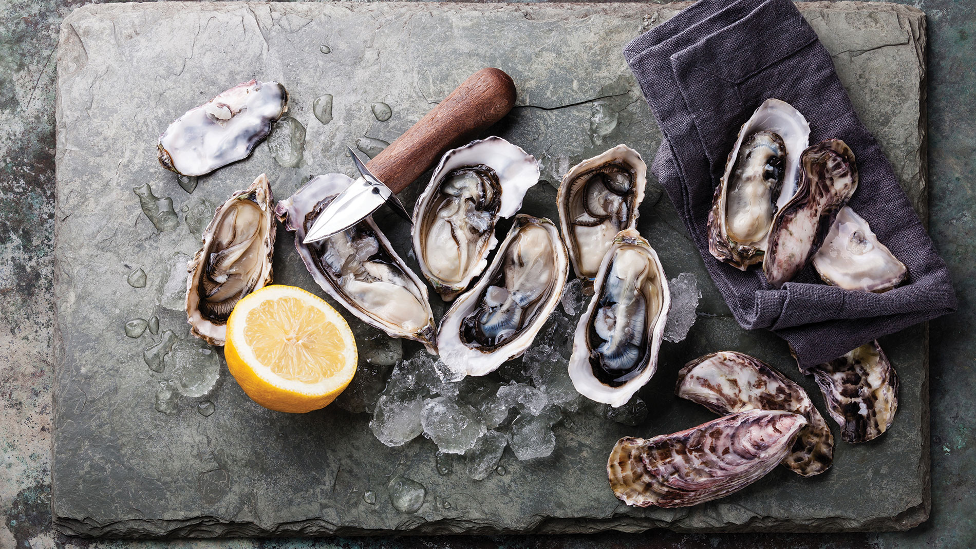 Schlafly Stout and Oyster Festival in st. louis