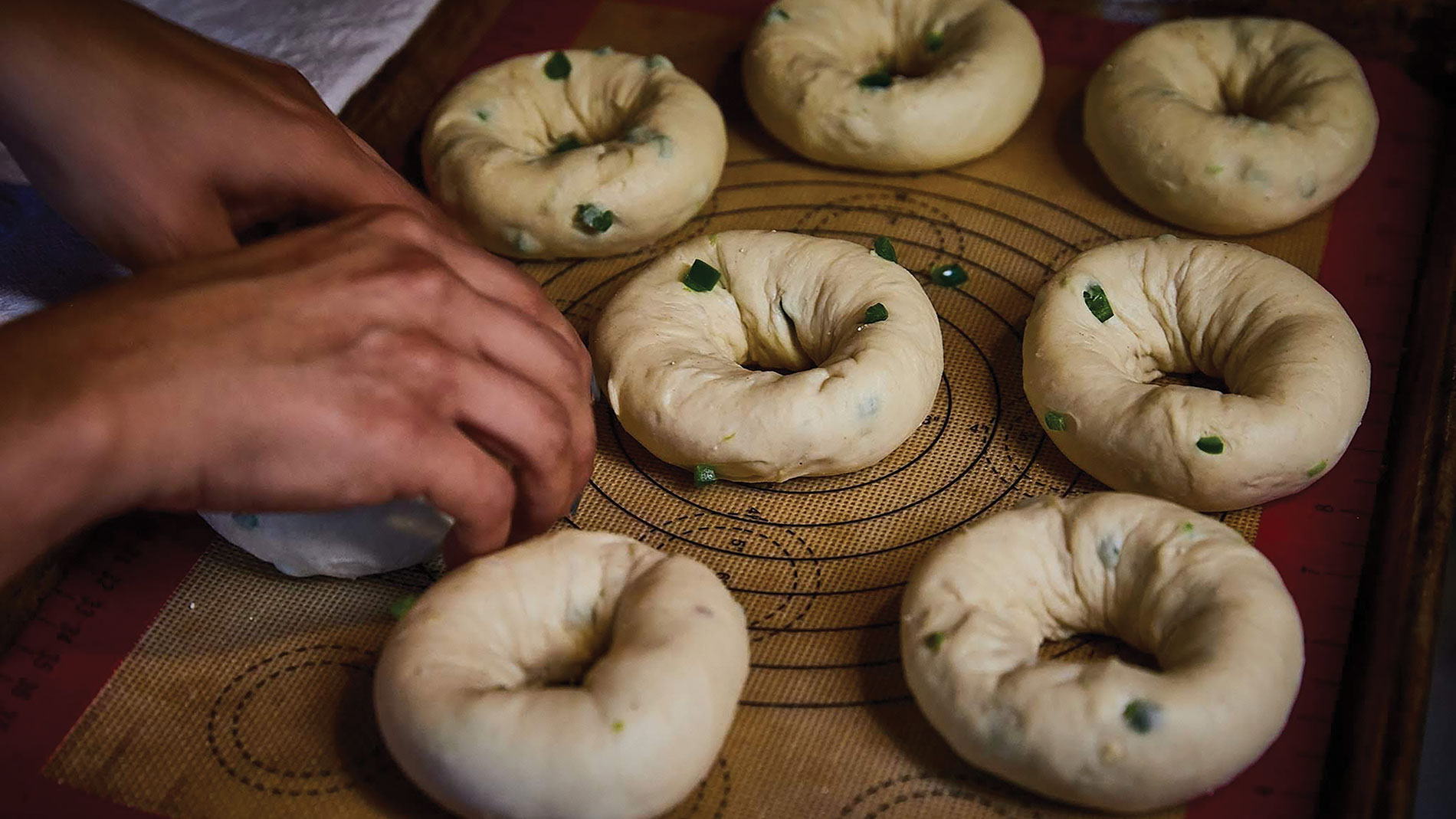 bagels from baked & boiled in soulard