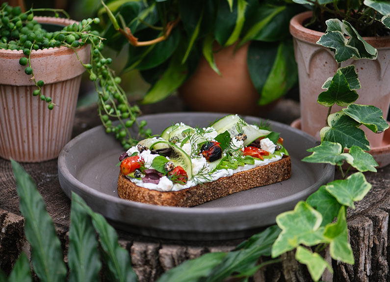 avocado toast from telva at the ridge in webster groves