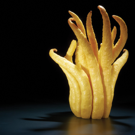 Candied Buddha’s hand 