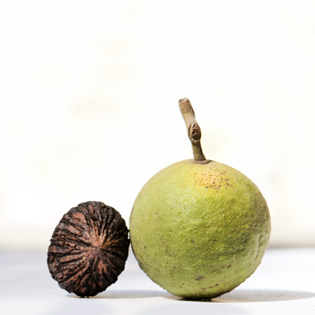 Black Walnut-Stuffed Squash