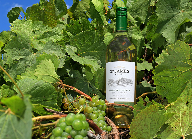 38 degrees north estate grown dry white blend // photo courtesy of st. james winery