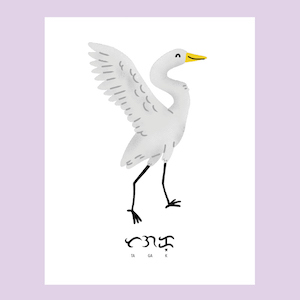 Picture of Great Egret or Tagak in Filipino and Baybayin (Ardea alba) Printable