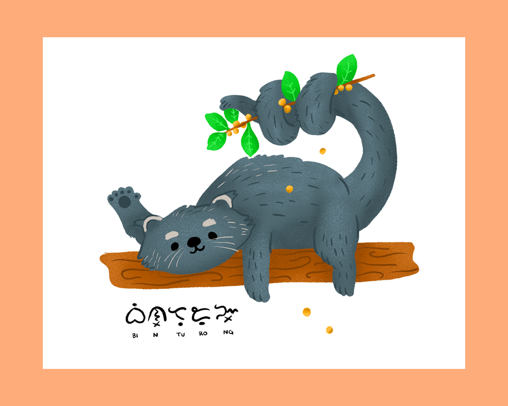 Picture of Binturong or Palawan Bearcat - Arctictis binturong in Baybayin