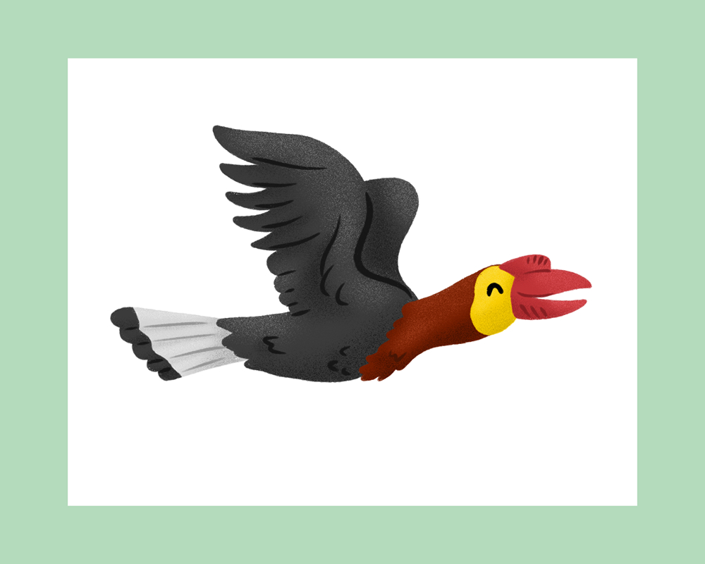 Picture of Dulungan hornbill Rhabdotorrhinus waldeni flying Printable Art