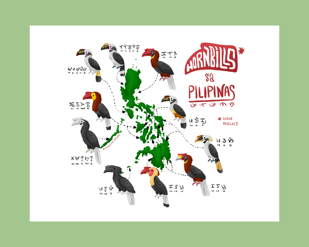 Picture of Hornbills of the Philippines Printable Art Philippine Writing Scripts