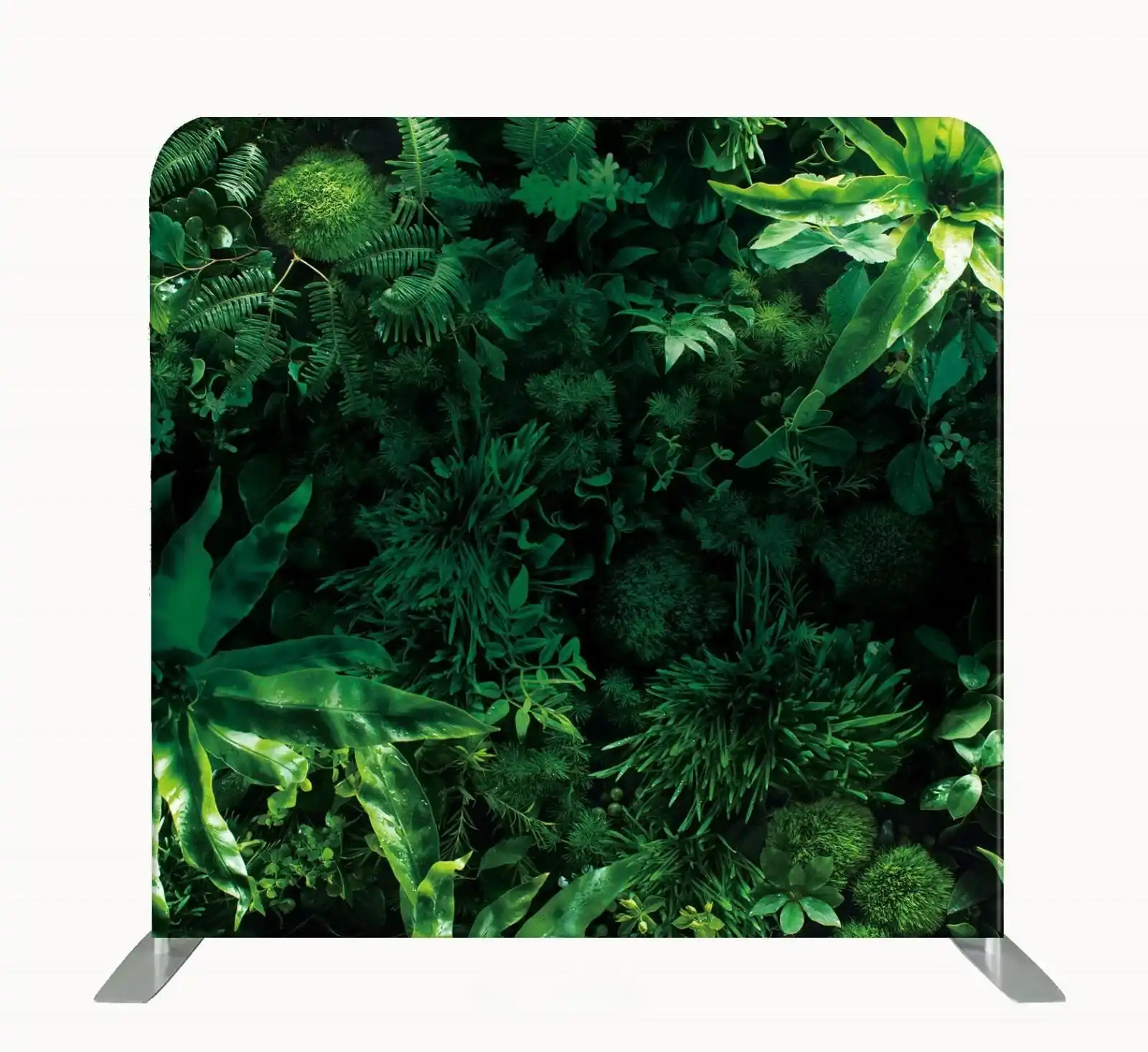 Toile de fond Forest Snap&Shot