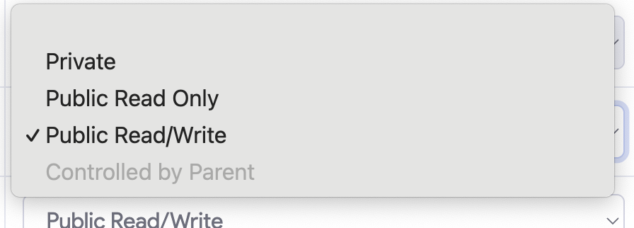object access options