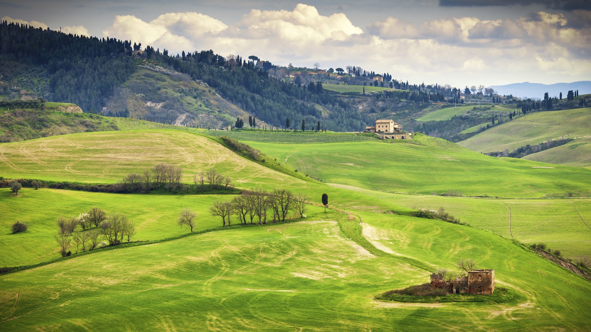 Fullscreen Image