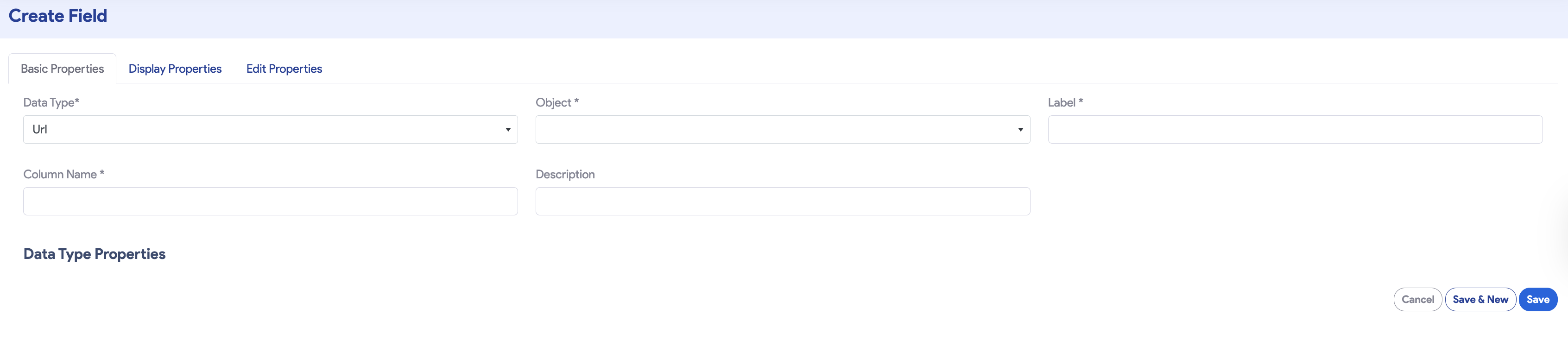 Create Field Screenshot
