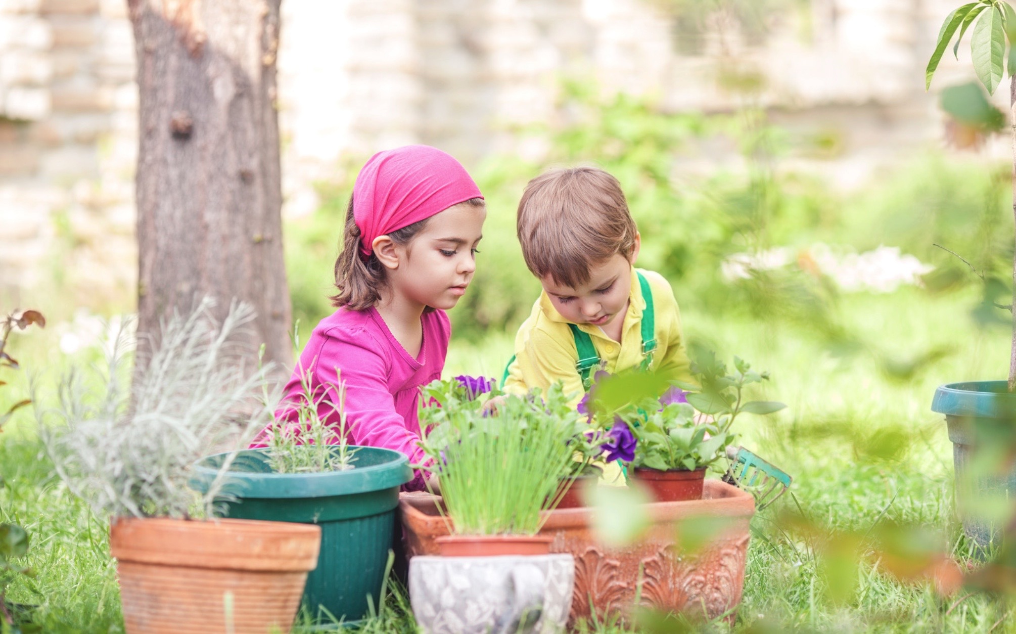 The Ultimate 'Free Things To Do Near Me' Guide