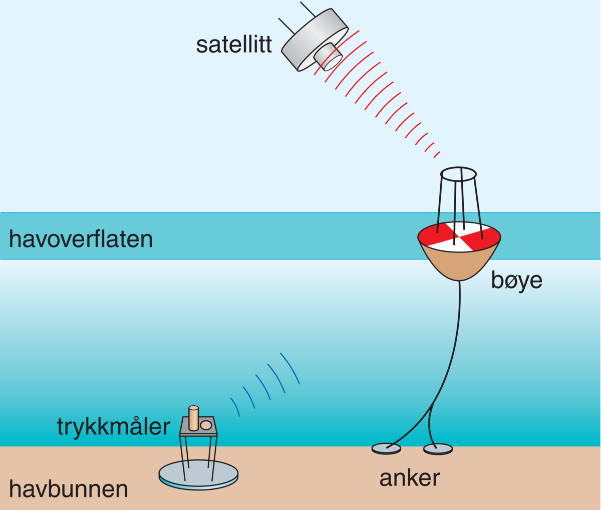 Tsunami Store Norske Leksikon