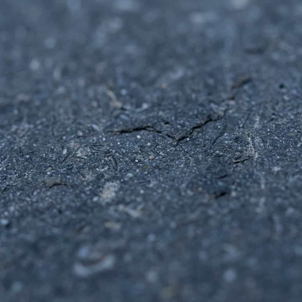 Belgian Blue Texture Detail