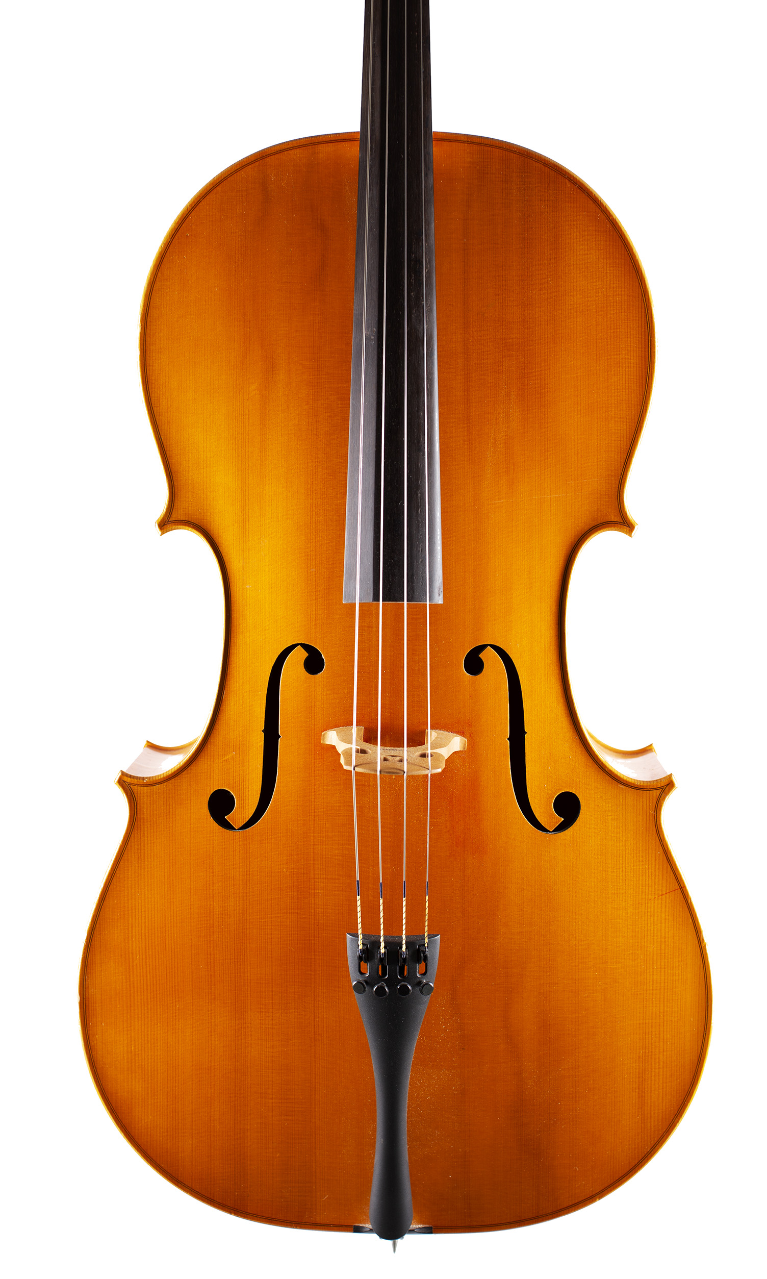 A cello by N. Whitehead, 2011