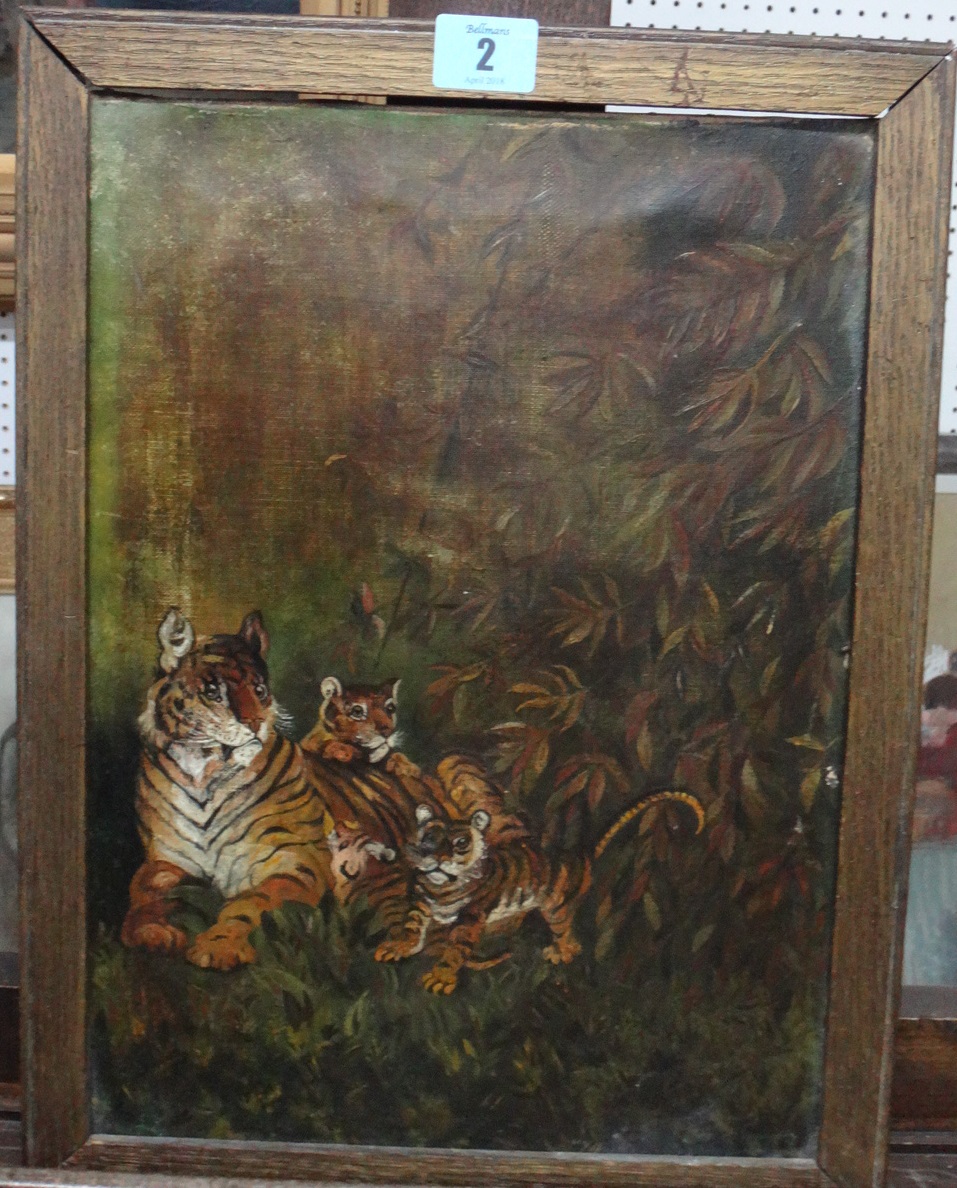 English School (late 19th century), A family of tigers, oil on canvas, 35cm x 24.5cm.  CAB