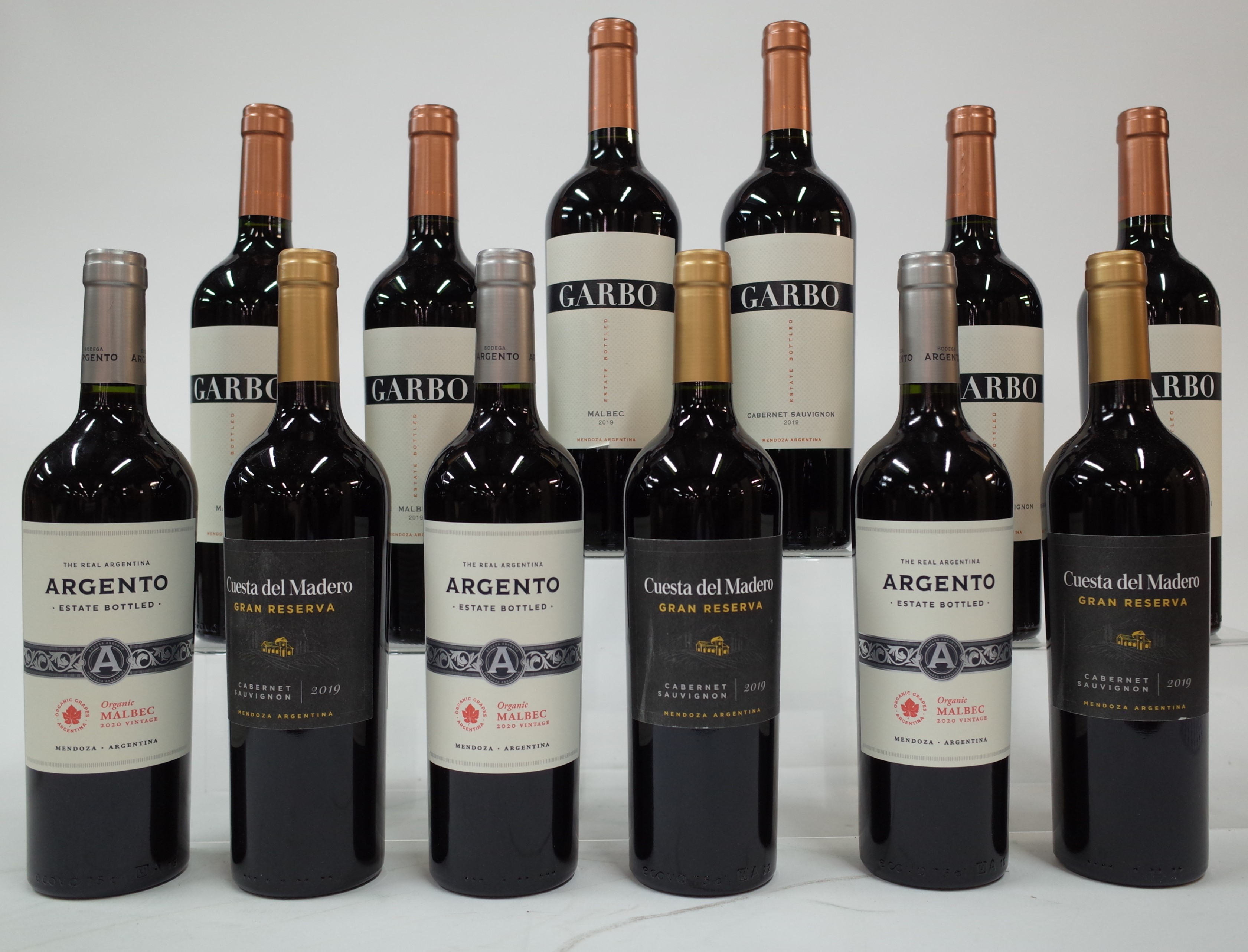 12 BOTTLES ARGENTINIAN RED WINE