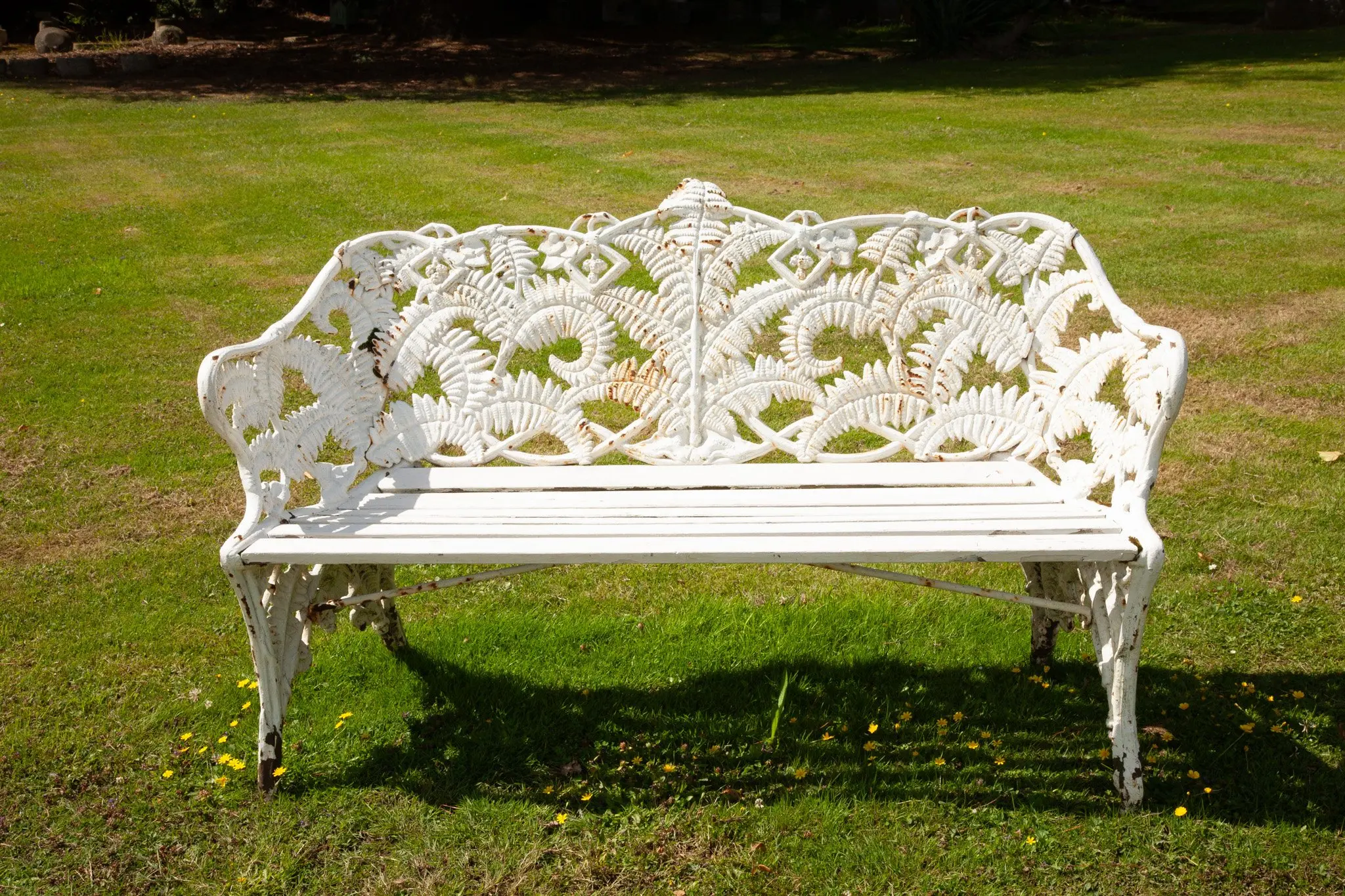 A rare Bolinder cast iron fern and blackberry pattern seat