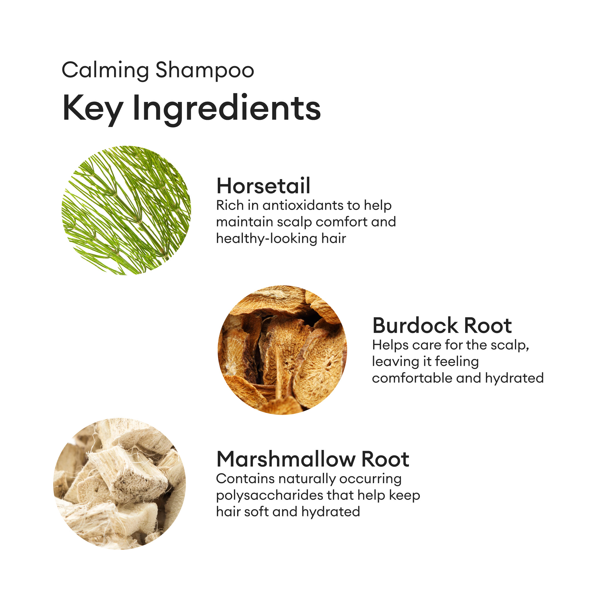 Calming Shampoo | Sensatia Botanicals