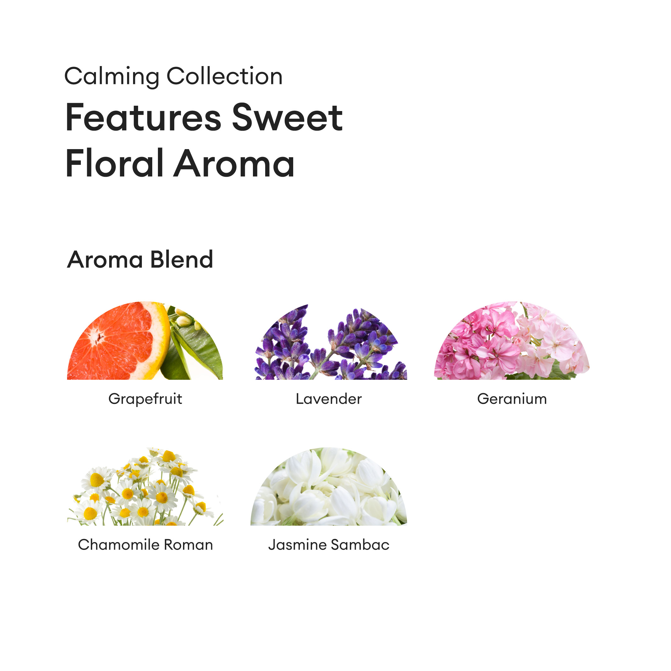 Calming Conditioner | Sensatia Botanicals