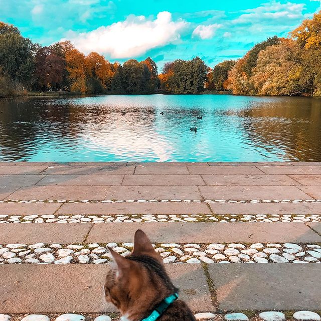 Ieșim din cochilie➡️😳