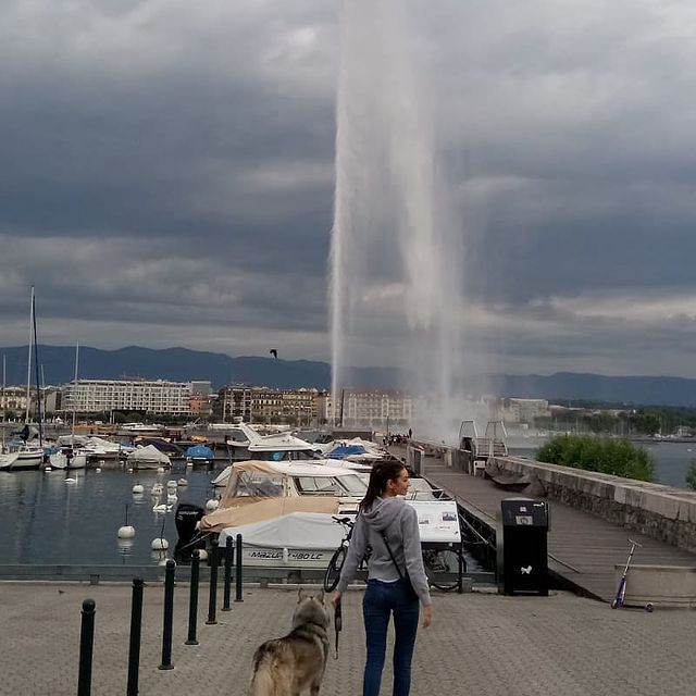 #geneva#switzerland#travel#corona#fountain#husky#modeling#weekendvibes#travel