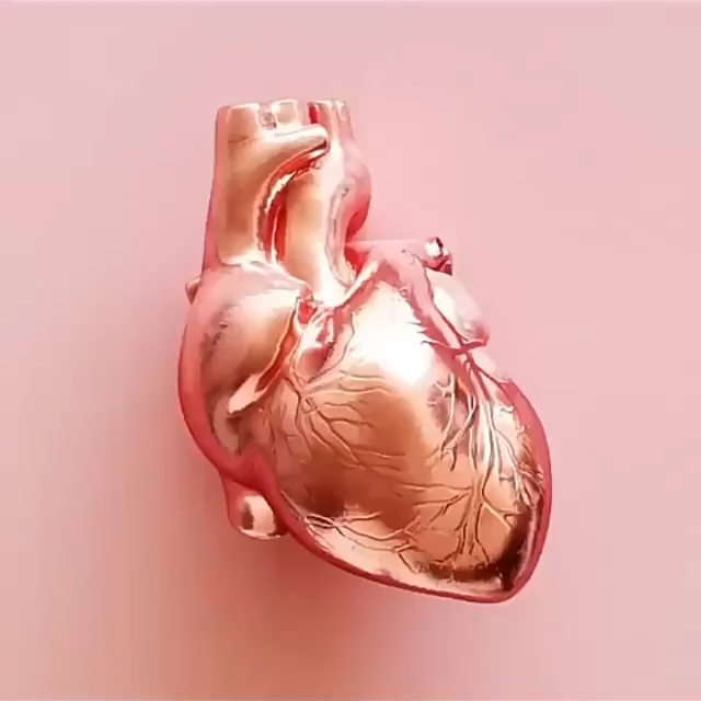 Heart 
#mbbsstudent #medicinestudent #studyreminder #studynotes #housejobdiaries #housejob #residency #medicalscience #surgerylife #surgeonlife #usmle #plab #bloggersofinstagram #influencerstyle #stethoscope #studywithrija #whitecoat #doctorslife #doctorsofinstagram #healthcareworkers