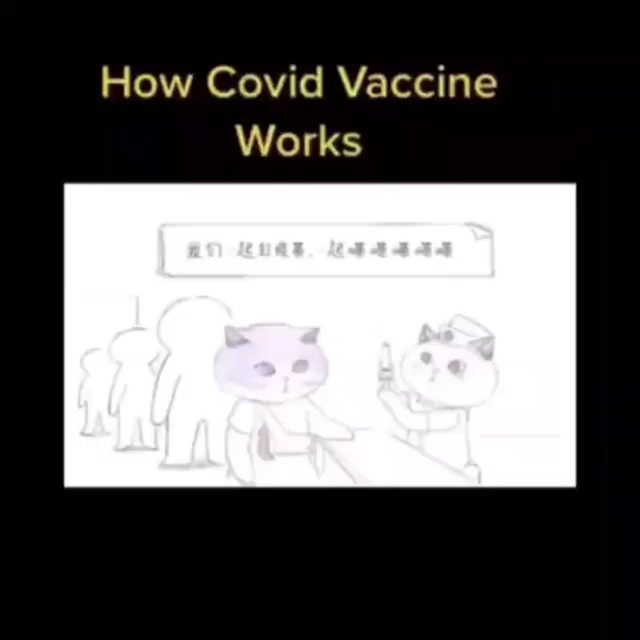 HOW VACCINES WORK 
#vaccine #ᴠᴀᴄᴄɪɴᴇssᴀᴠᴇʟɪᴠᴇs #ᴠᴀᴄᴄɪɴᴇᴅᴀʏ💉 #coronavacccine #medicinestudent #medexams #medicalscience #medicalhealth #medicalcollege #medicohubworldwide #lifecoaching #study #studynotes #studygram #instagood #instamoto #influencerstyle #influencerswanted #instadaily #bloggersofinstagram #doctorslife #doctorsofinstagram #whitecoat #stethoscope #scrubs #injection #dentist #healthcareworkers #healthylifestyle #hospital