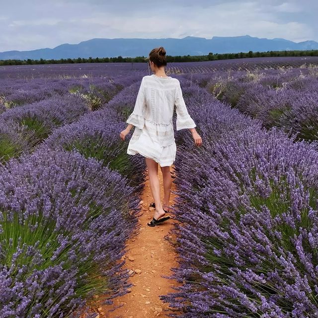 she's the type of flower that can still grow after a forest fire.

#lavenderfields #violet #infinity #france #valensole #provance #bloom #inhale #calmness #lavender #forthesoul #lavenderlove #boho #ootd