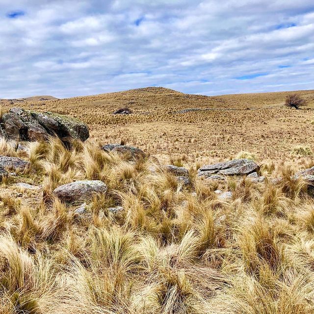 pampa.
#lacumbre #argentina #cordoba #nature #travel #fun #free