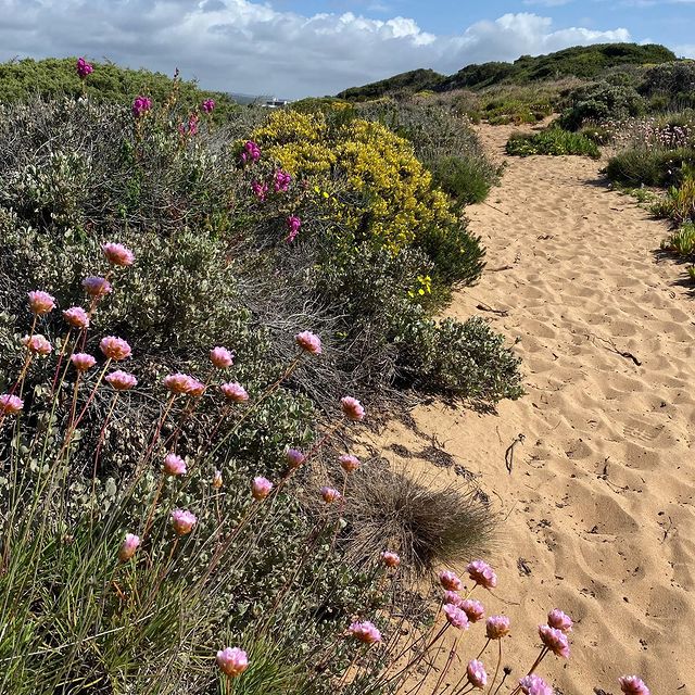 I think I found paradise. #aljezur #fishermenstrail #coastalwalk #sopeaceful #isthisevenreal #pure #beauty #embracingnature #portugal #travelgoals #greatfulheart