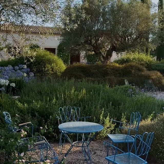 Mediterranean garden dream at Sanau 🤍
.
.
.
.
.
#sanauretreats #sanau_sonsion_retreats #gardeninspiration #mediterrangarden #gardendesign #littlebee #slowliving #olivetree #pooldesign #mallorcagarden #mediterranean #roses #flowerlover #loverheaven #hydrangea