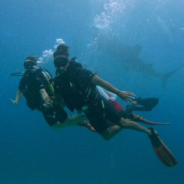 Deep Dive. 
Take me to a place, where we can forget the world. 🌊🦈