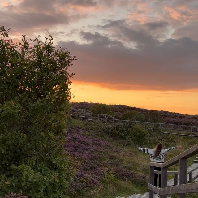 Es ist soweit die Sylter Heide blüht 😁☀️

—————-

#ausflugtipp #heide #heidesylt #kurztrip #sylt #syltliebe #outdooradventure #heather #heideblüte #farbenspiel #braderup #kampen #syltair #sommerzeit