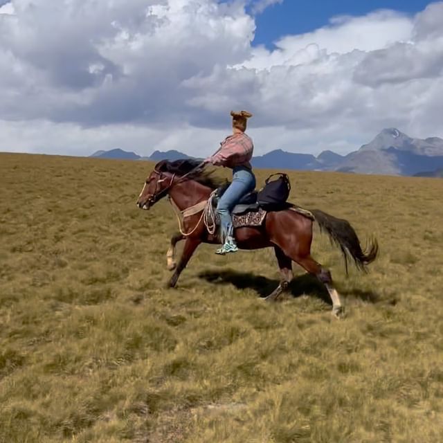 Life!

#tusheti #georgiatravel #thisisfunny