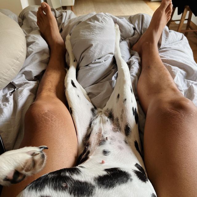 #wochenbett 🐕 🤷🏽