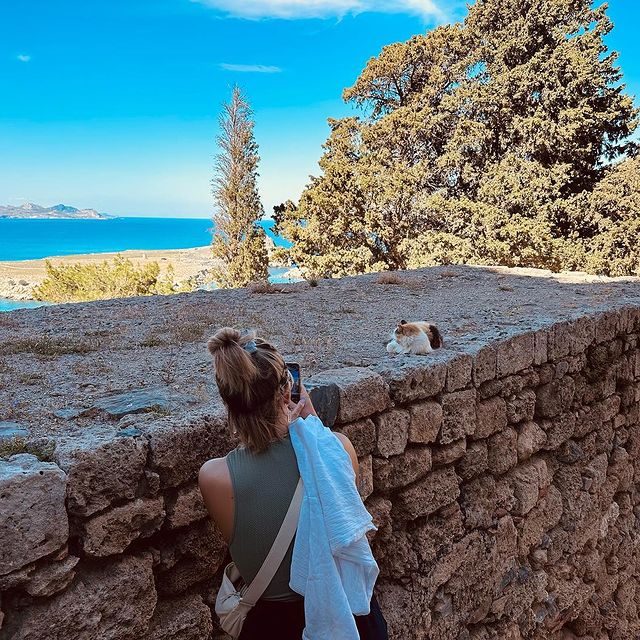 Just photographed the real monuments.
.
.
.
.
.
#greece #rhodes #cats