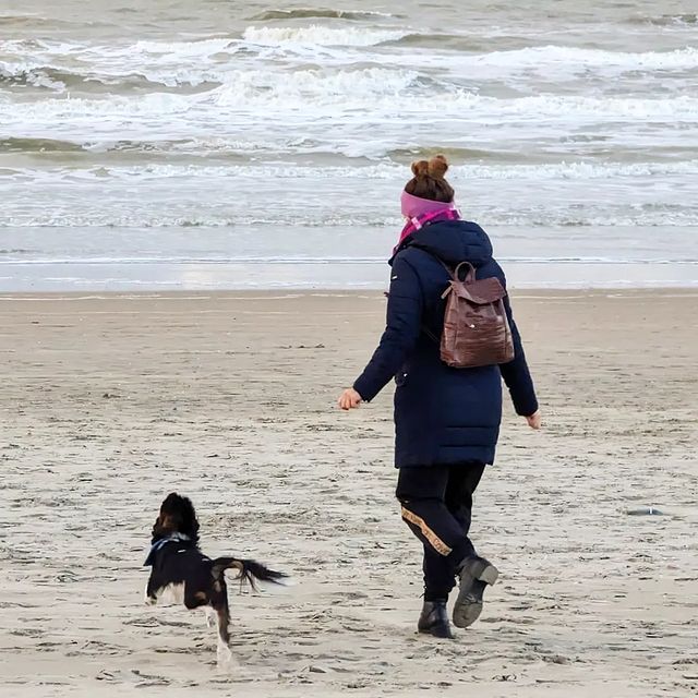 🌬 ☁️ 🌾🌊
#🐶

#minivacay
#zandvoortbeach
#zandvoortaanzee #instadog #ckcsofinstagram #beachinnetherlands #perrito #cavalierkingcharlesspanielsofinstagram #cavalierworld #dogsmoments #cavalierclub