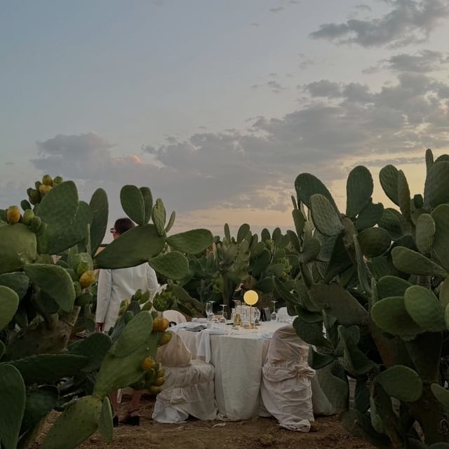 POV: you have a dining experience in the middle of an cactus field in South Africa 🌵✨ @kraak.co.za @kraaktafel_