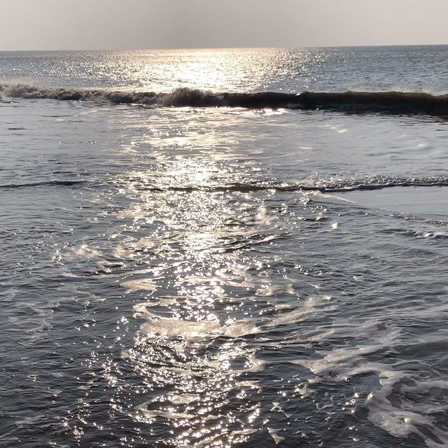 #april #spring #love #season #sylt #island #landscape #travel #travelblog #wanderfolk #wanderlust #esthetician #beach #strand #nordsee #ocean #coast #coastline #westerland #seaside #nationalpark