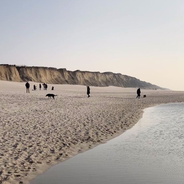 #april #spring #love #season #sylt #island #landscape #travel #travelblog #wanderfolk #wanderlust #esthetician #beach #strand #nordsee #ocean #coast #coastline #kampen #seaside #nationalpark