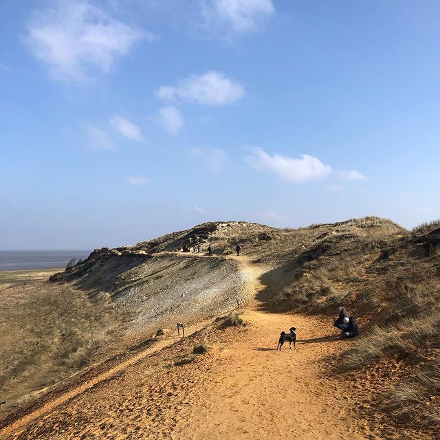 I love dogs

#april #spring #love #season #sylt #island #landscape #travel #travelblog #wanderfolk #wanderlust #esthetician #beach #strand #nordsee #ocean #coast #coastline #westerland #seaside #nationalpark