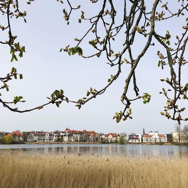 #tb #schwerin #architecture #castle #travel #spring #springtime #travelblog #art #lake #landscape