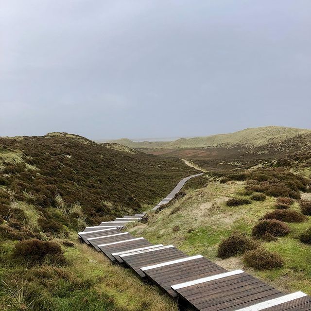 #sylt #nordsee #spring #nature #travelblog #sheep #beach #roadtrip