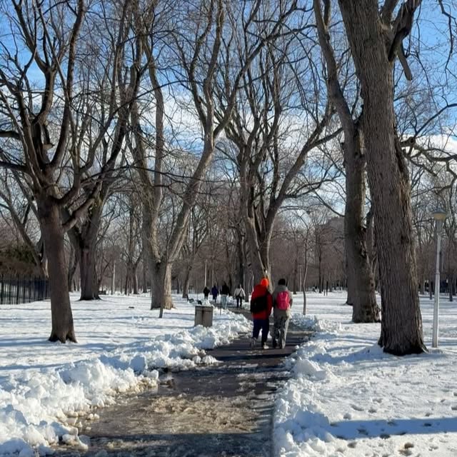 Winter in Montréal: gorgeous but feels eternal 🙃
