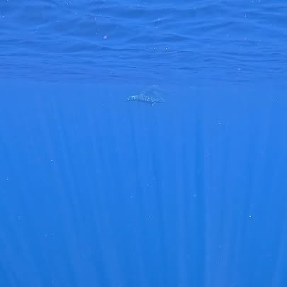 ocean sights ༄