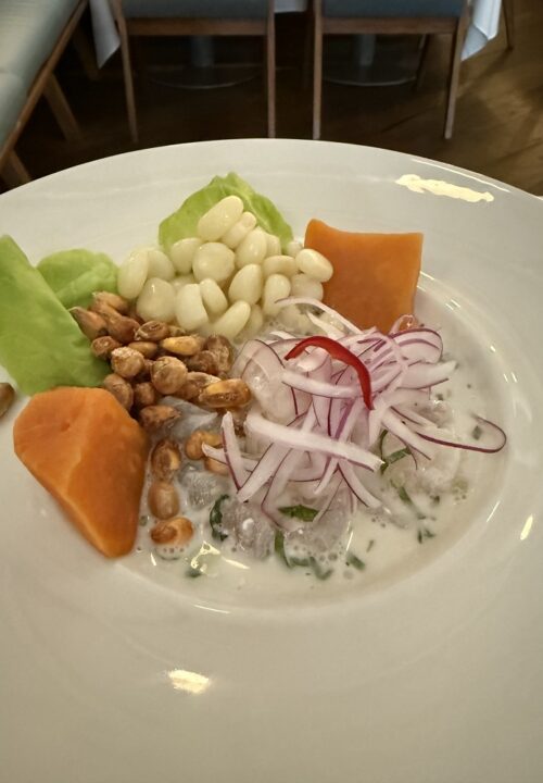 ClaeGEEw-IMG_3757-1.jpg Traditional Peruvian ceviche.